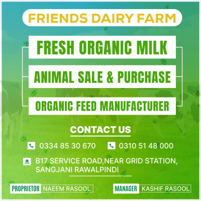 Friends Dairy Farm